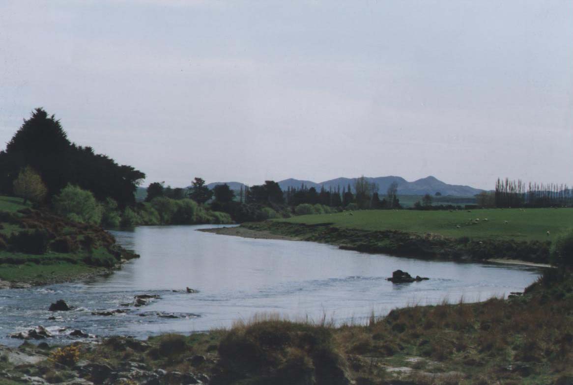 David, locals and visiting anglers enjoying the Mataura River - the world's best dry fly trout fishing river!